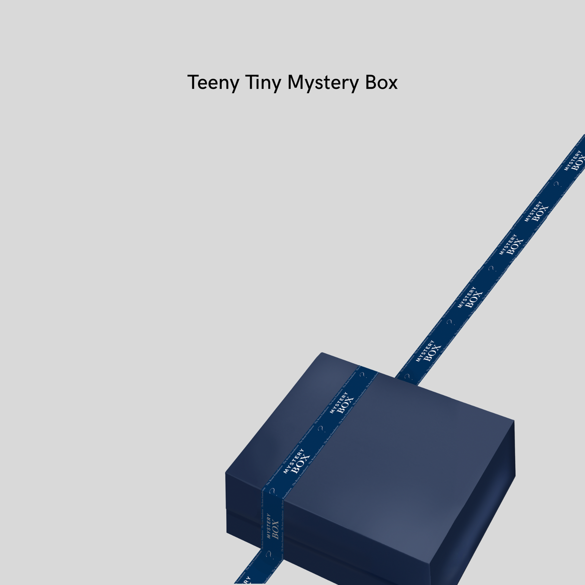 Teeny Tiny Mystery Box - The Brant Foundation Shop