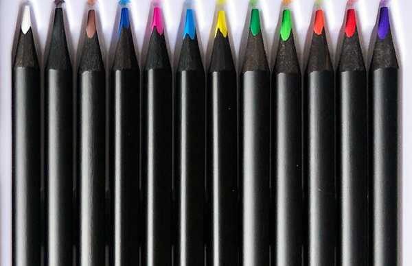 Koons Puppy Color Pencils
