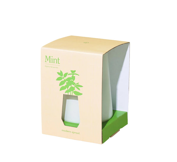 Tapered Tumbler Grow Kit - Mint - The Brant Foundation Shop